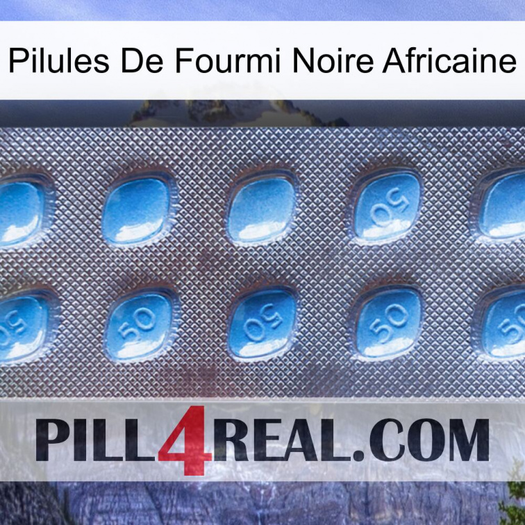 African Black Ant Pills viagra3
